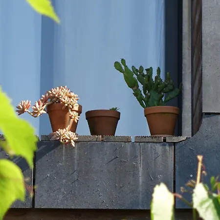 O Refugio Nas Vinhas