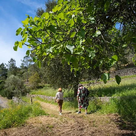 O Refugio Nas Vinhas *