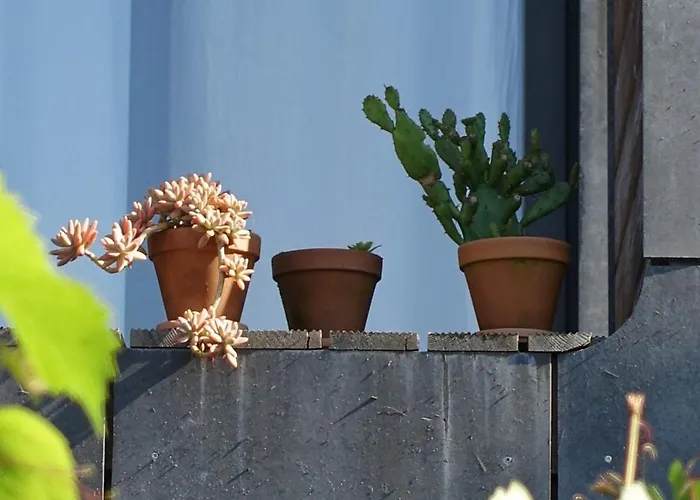 O Refugio Nas Vinhas