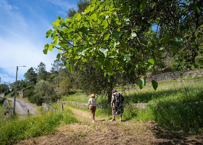 O Refugio Nas Vinhas *