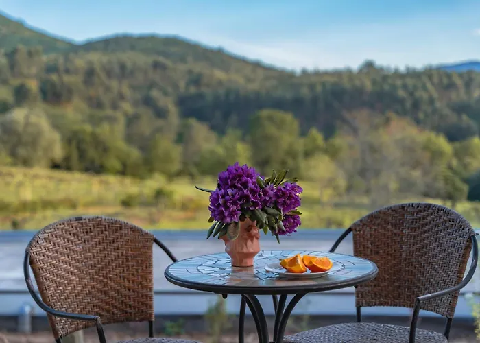 بيت للعطل O Refugio Nas Vinhas *